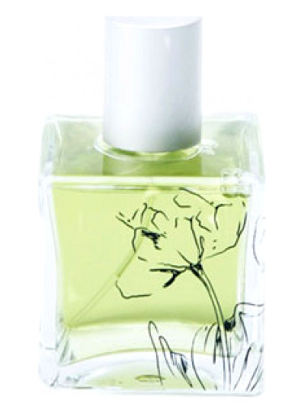 Infusion Organique Buddha’s Fig