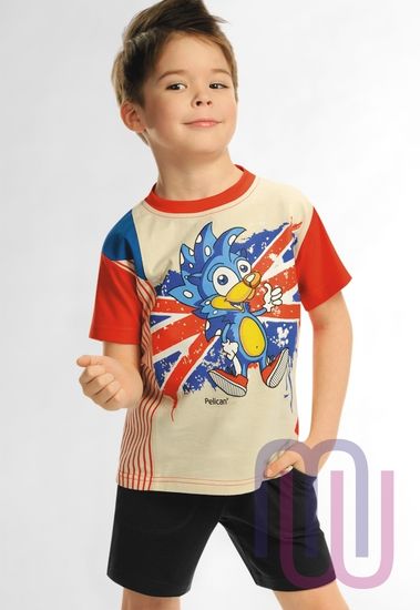Шорты для мальчиков Pelican BH 294