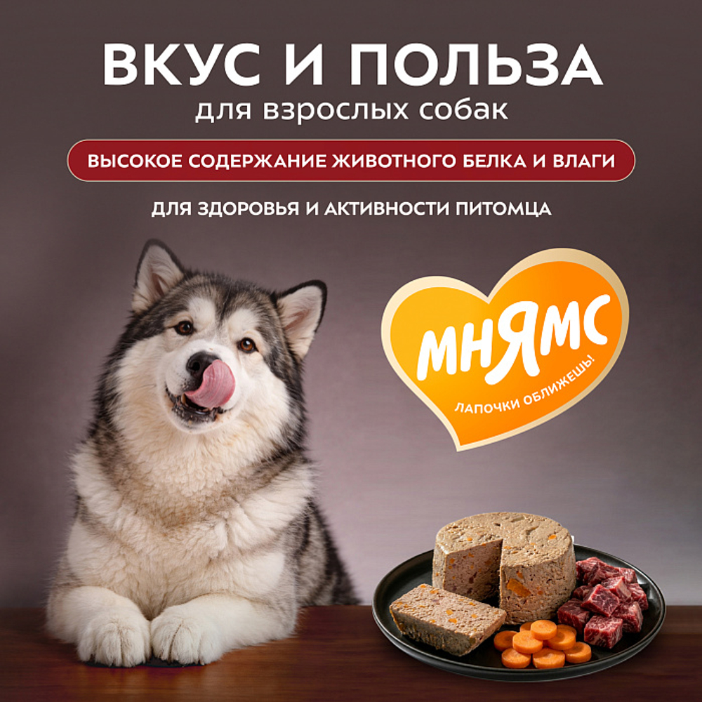 Влажный корм консервы для собак всех пород Деликатес "Бразато по-итальянски" паштет из говядины с морковью Мнямс 0,2кг 12 шт