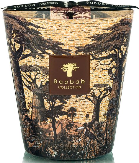 Mankono, свеча MAX 16 Sacred Trees collection, Baobab Collection