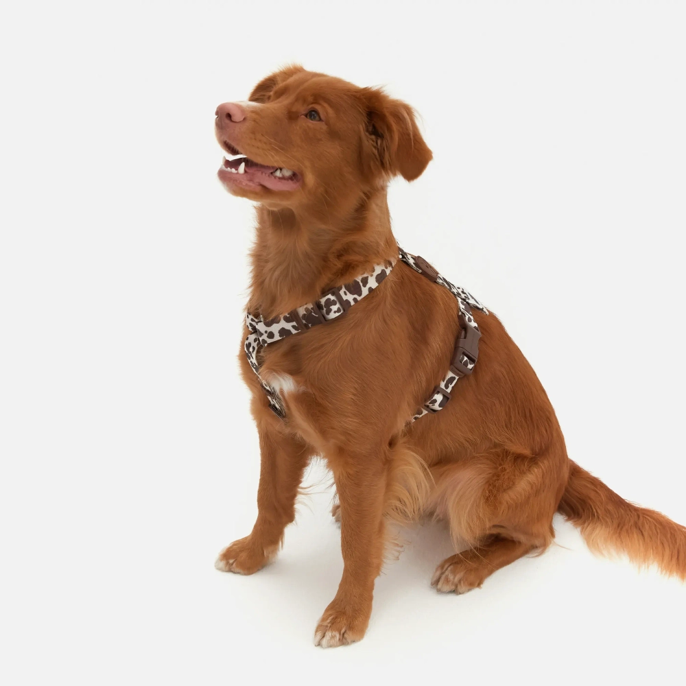 Анатомическая шлейка Cow