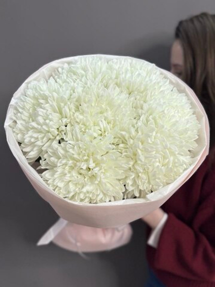 Монобукет из 7 одноголовых хризантем "Антонов"