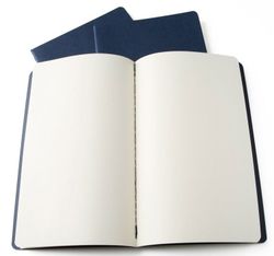 Блокнот Moleskine Cahier Large нелинованный (CH118)