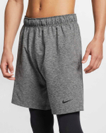 Мужские шорты Nike Dri-fit