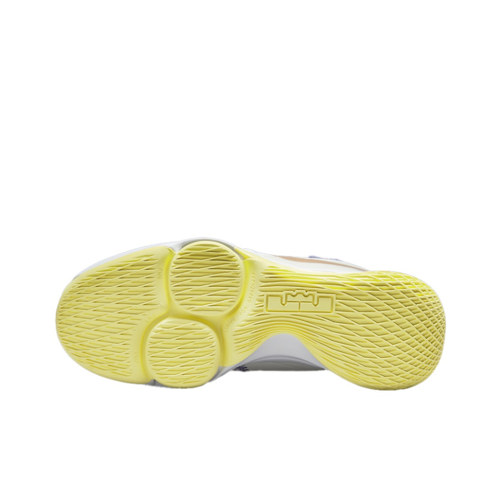 Мужские кроссовки Nike LeBron Witness 5 EP 'Summit White Metallic Bronze' CQ9381‑102