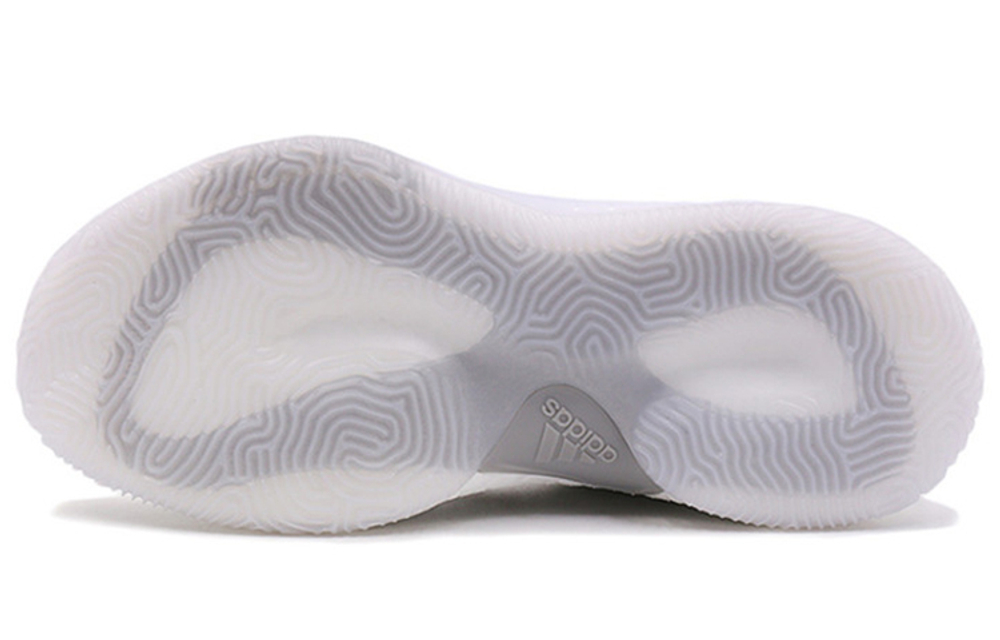 Кроссовки Adidas Crazy Explosive 2017