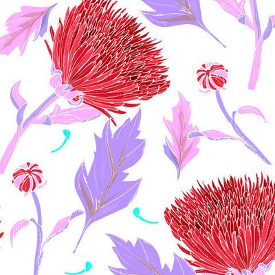 Хризантема