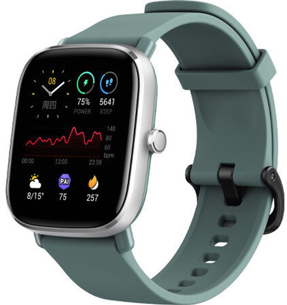 Смарт-часы Amazfit GTS 2 Mini (A2018) Green