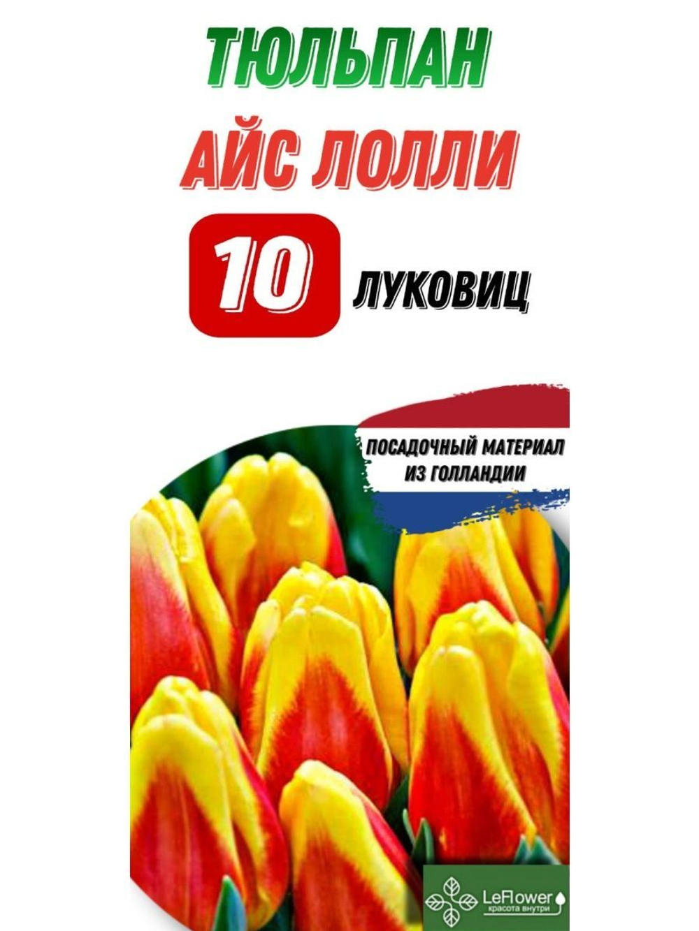 Тюльпан Луковица, Айс Лолли, 10шт