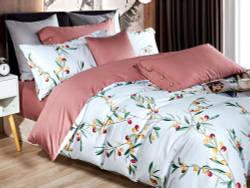 Постельное белье 2 спальное евро Asabella 1442-6