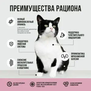 Пауч BOWL WOW для стерилизованных кошек с телятиной с овощами, кусочки в соусе
