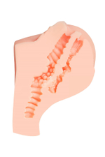 Мастурбатор ToyFa Paula – 2 любовных тоннеля, телесный