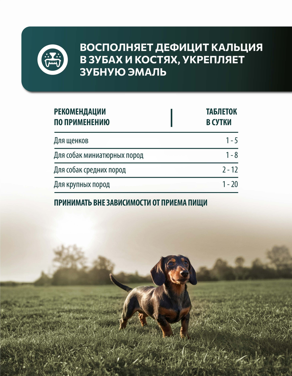 Vita+ мультивитаминное лакомство для собак Для зубов и костей, 90 таблеток