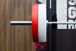 Технический диск для штанги 5 кг STECTER (D=450 мм, пластик)