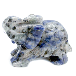 Слон содалит асс.