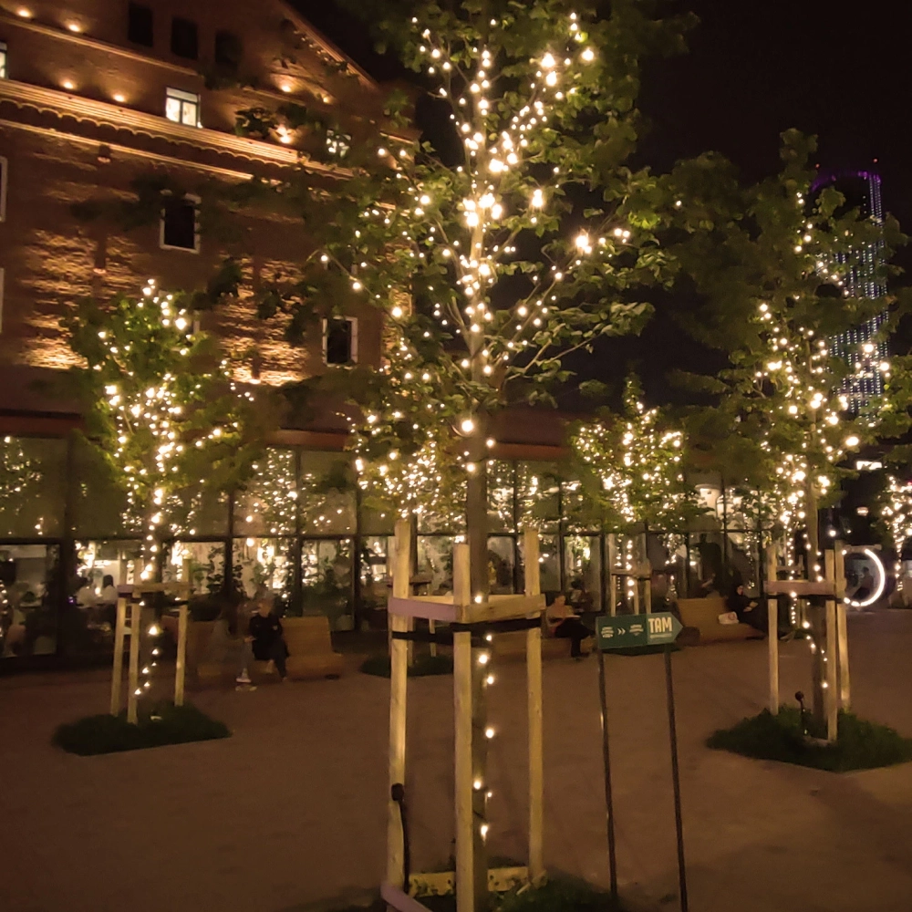 Гирлянда для улицы 11м 100 ламп LED чёрный провод, 8 реж, IP-65, Теплый белый (возможность соединения)