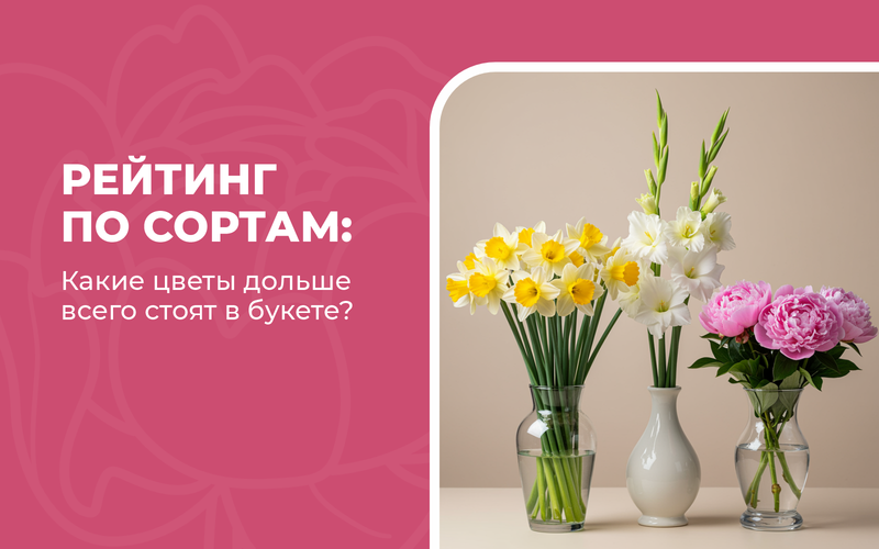 Какие цветы дольше всего стоят в букете: рейтинг по сортам