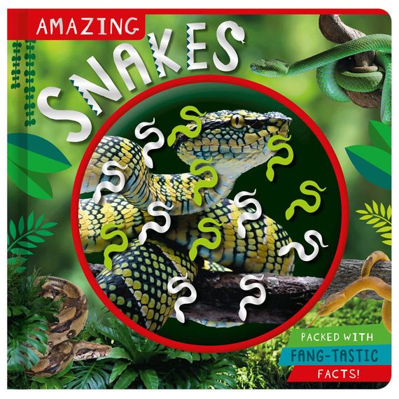 Amazing Snakes