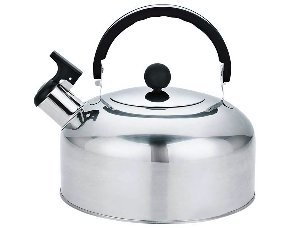 Чайник 2л нерж со свистком Casual, зеркальная полировка