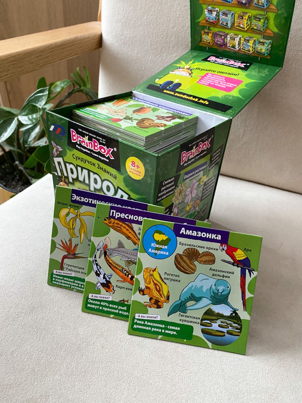 Сундучок знаний Природа BrainBox