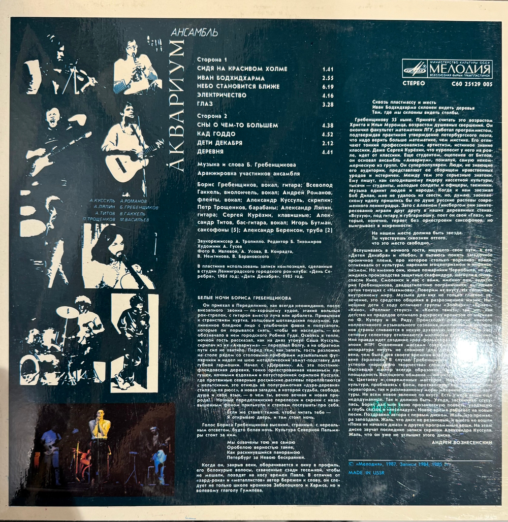 Виниловая пластинка Аквариум - Аквариум LP