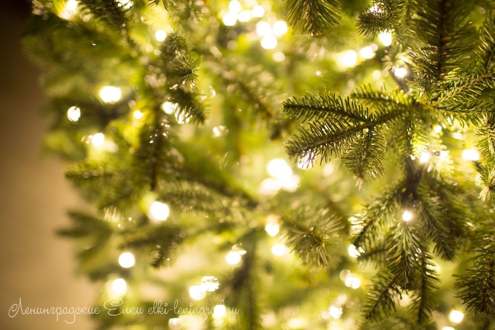 "БАРОККО ПРЕМИУМ" Световая 9