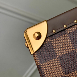 Louis Vuitton Sawagani Trunk