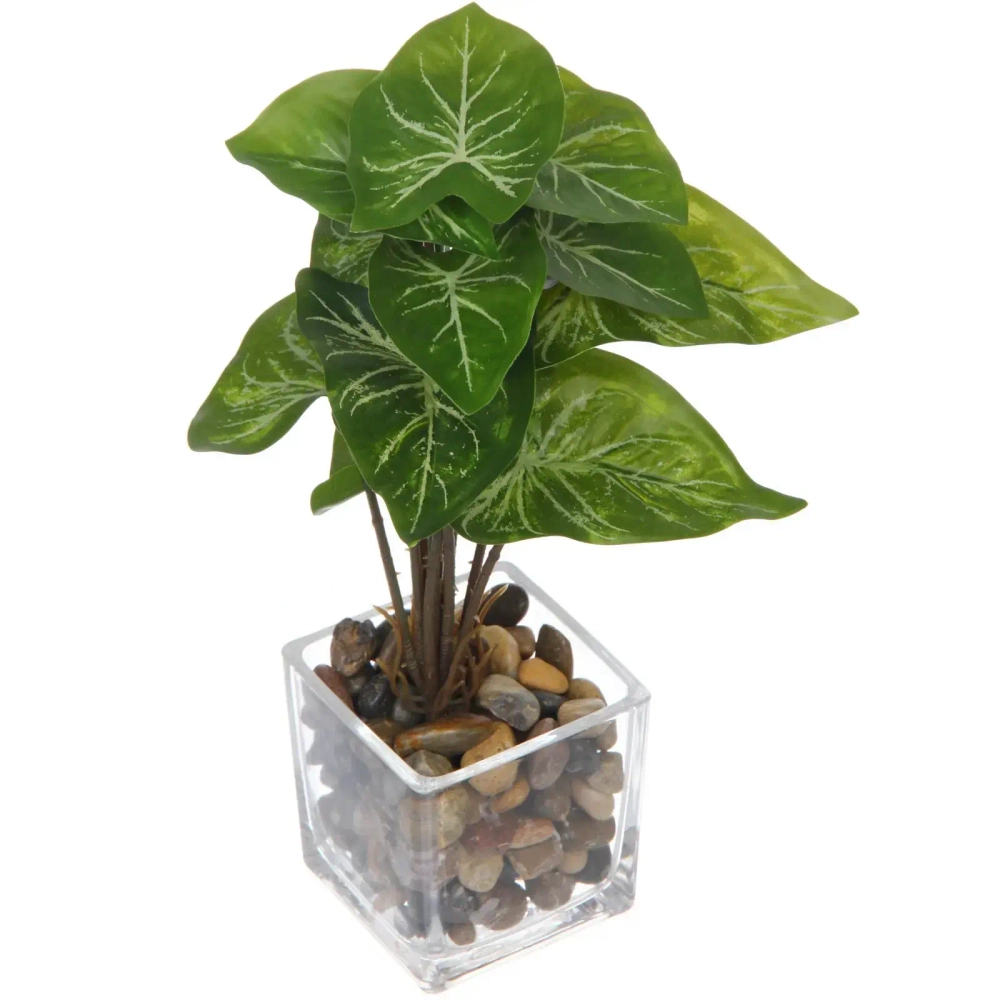 Цветочная композиция в стеклянном горшке «Сциндапсус» 10*22см HL-21