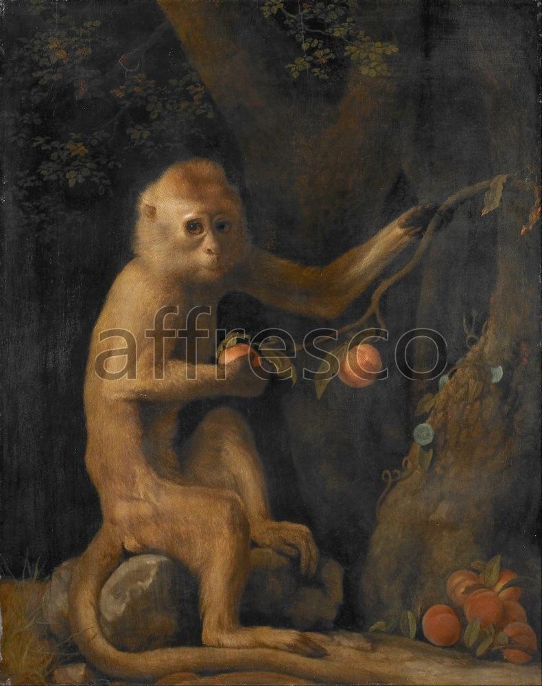 Фреска George Stubbs, A Monkey