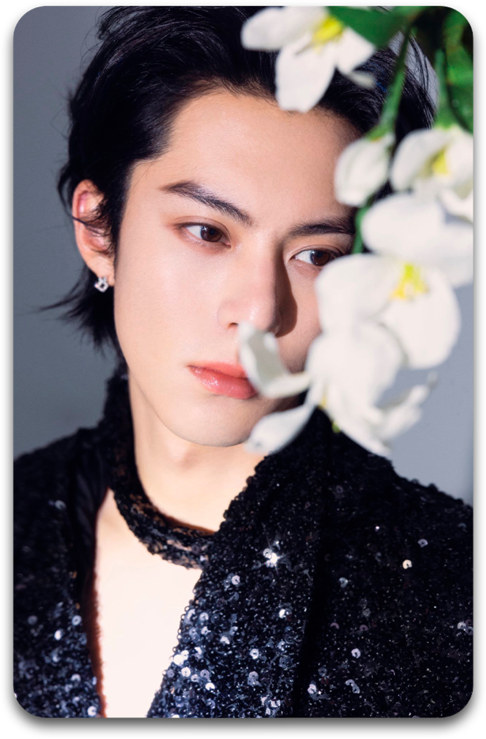 Карта #2665 / Dylan Wang