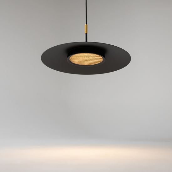 Подвесной светильник Maytoni MOD041PL-L15B3K1