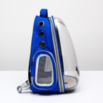 Рюкзак для переноски кошек и собак «Котик», прозрачный, 34 х 25 х 40 см, синий