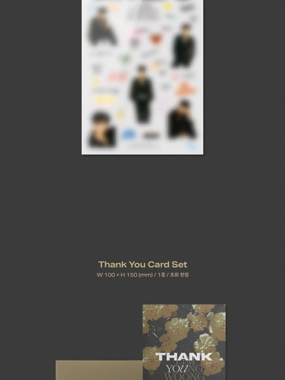 Альбом LIM YOUNG WOONG - IM HERO 1st Album PHOTO BOOK Version