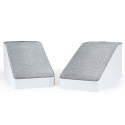 Polk Audio Reserve R900