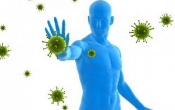 Календула П - умная защита от инфекционных заболеваний и воспаления