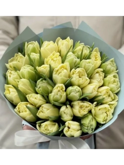 Тюльпаны Avant Garde 4 шт, набор луковиц