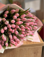 Букет из 75 розово-белых тюльпанов