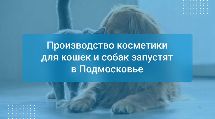 Производство косметики для кошек и собак запустят в Подмосковье