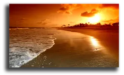 Постер "Фантастический вечер"