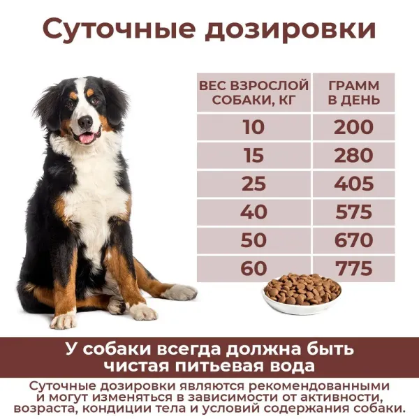 Уценка! Повр.упак. / Сухой корм Дилли для взрослых собак 