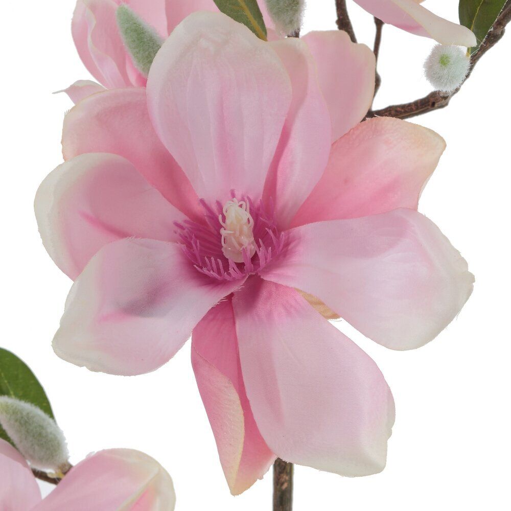 GAEM Цветок искусственный "Магнолия", L28 W17 H82 см