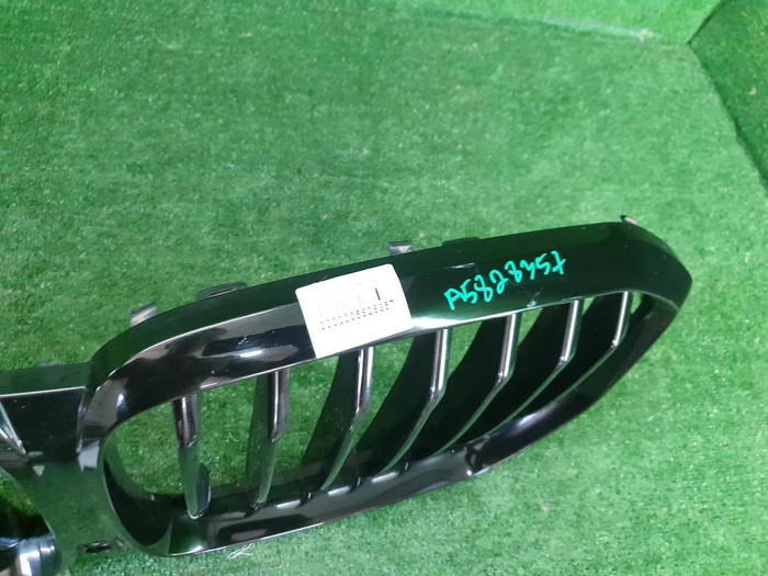 Решетка радиатора BMW X5 G05 (2018-2023)