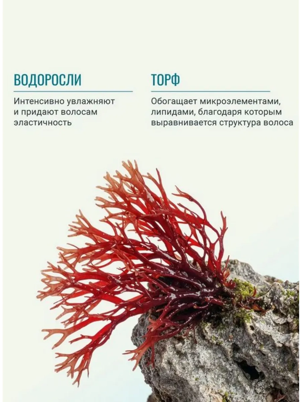 Крем-филлер KIKIMORA для гладкость волос ESTEL 100 мл