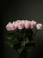 Розы сорт «SECRET GARDEN» (Эквадор)