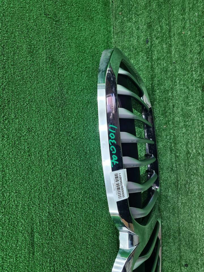 Решетка радиатора BMW X7 G07 (2019-2022)