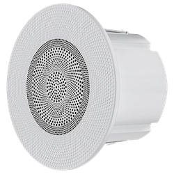 Влагостойкий динамик Steam & Water - SW MINI WOOD для бани, сауны, хамама, катера, яхты, влажных помещений