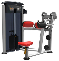 Impulse IT9524 дельтовидные, профессиональный тренажер