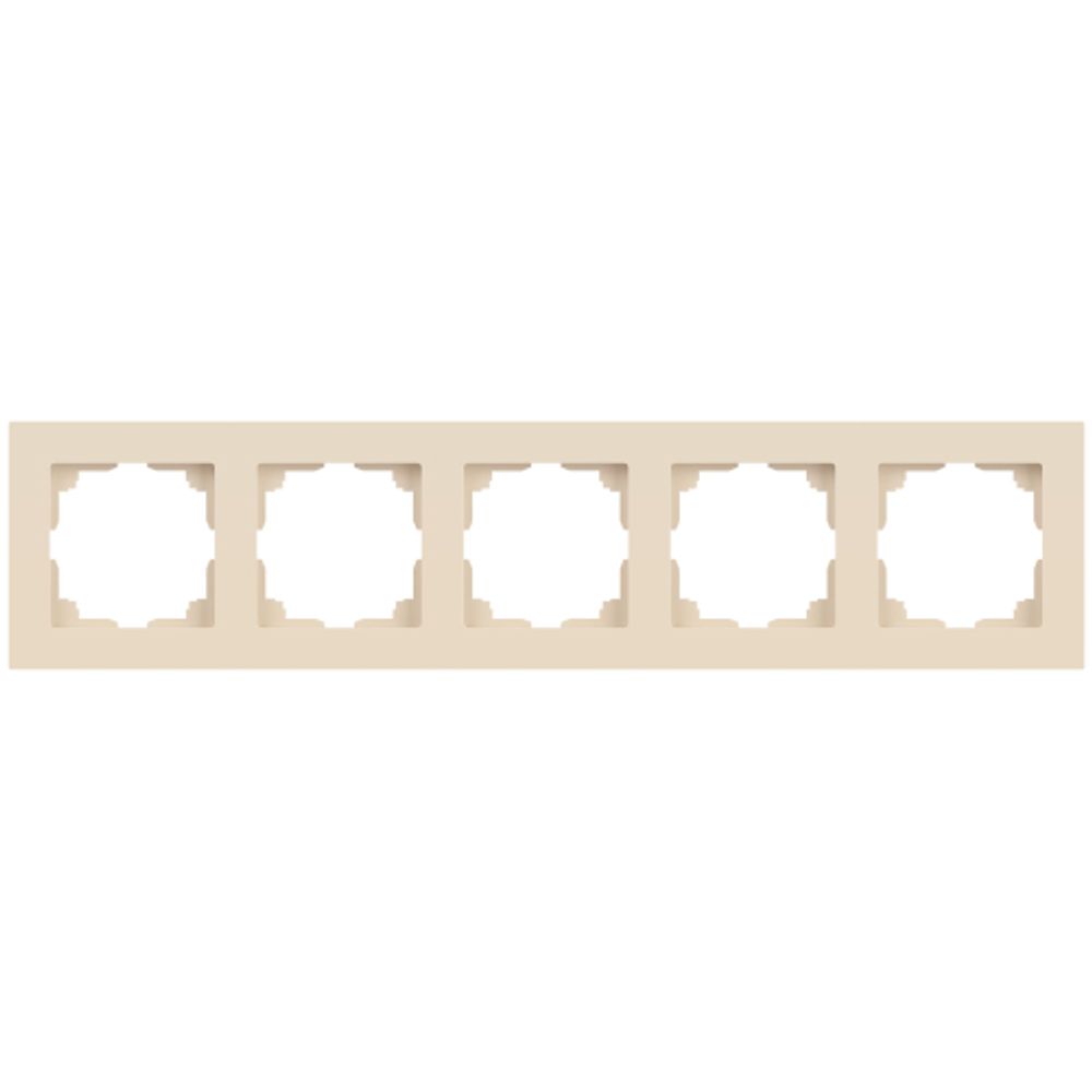 Рамка для розеток и выключателей Intro Accent 6-505-02 на 5 постов, СУ, сл.кость