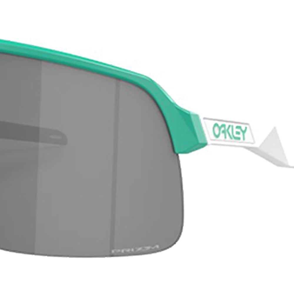 Oakley Irregular Shape Очки