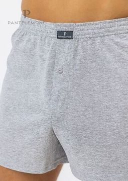 Трусы мужские семейные Pantelemone PMB-039, серые